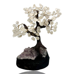 Clear Quartz Tree with Amethyst Base - Lifestones Gems and Minerals