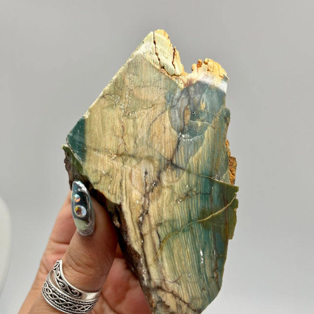 Larsonite Bogwood Slabs - Lifestones Gems and Minerals