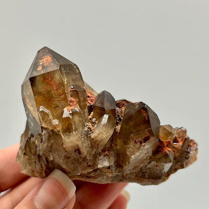 Original Citrine Cluster (Congo) - Irregular Free Form - Lifestones Gems and Minerals