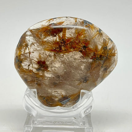 Star Gold Smokey Rutilated Quartz - Irregular Free Form - Lifestones Gems and Minerals